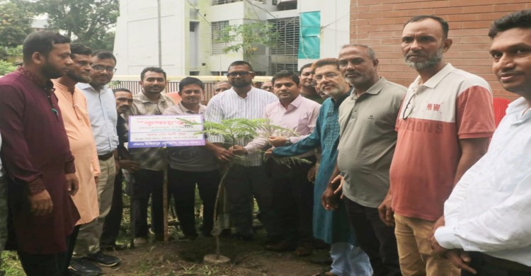 উজিরপুর প্রেসক্লাবের উদ্যোগে দিনব্যাপী বৃক্ষরোপণ কর্মসূচি পালন