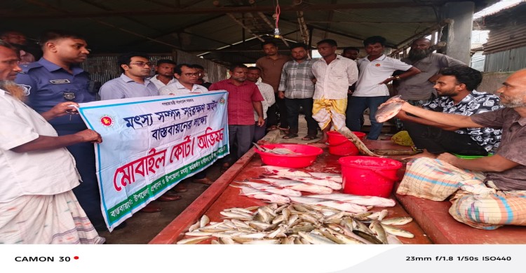 ভ্রাম্যমাণ আদালতের অভিযানে অবৈধ চায়না দুয়ারী জাল ও পিরানহা মাছ জব্দ