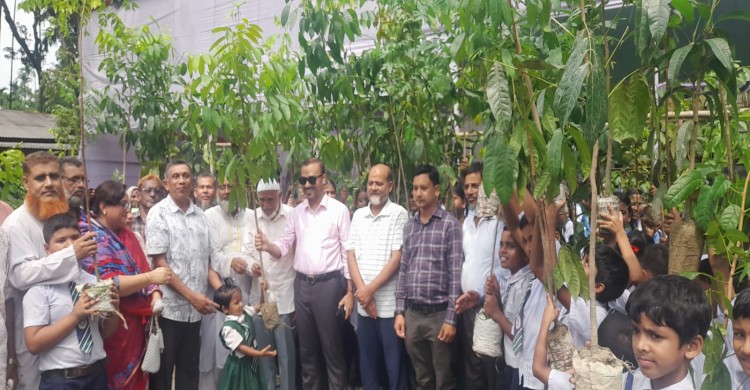 কালীগঞ্জে বোয়ালী বালিকা উচ্চ বিদ্যালয়ের শিক্ষার্থীদের মাঝে চারা বিতরণ