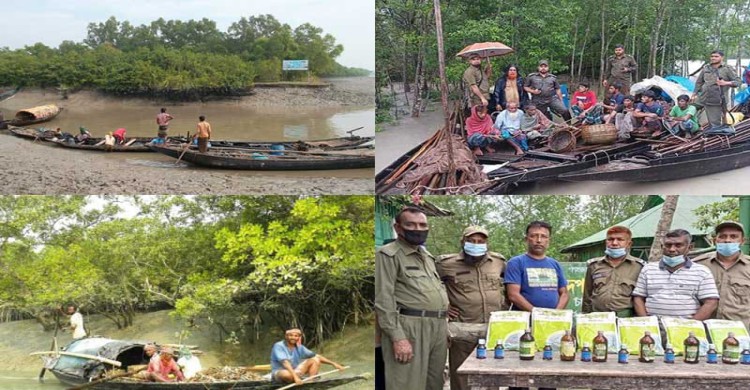 ‎পশ্চিম সুন্দরবনে বন অপরাধের লাগাম টানতে হিমশিম বন বিভাগ: দুই মাসে ৮৯ মামলা
