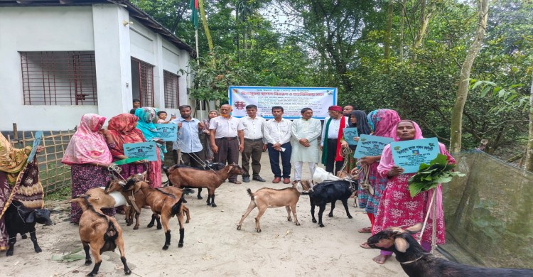 গঙ্গাচড়ায় দুঃস্থদের জন্য ডাসের মানবিক উদ্যোগ