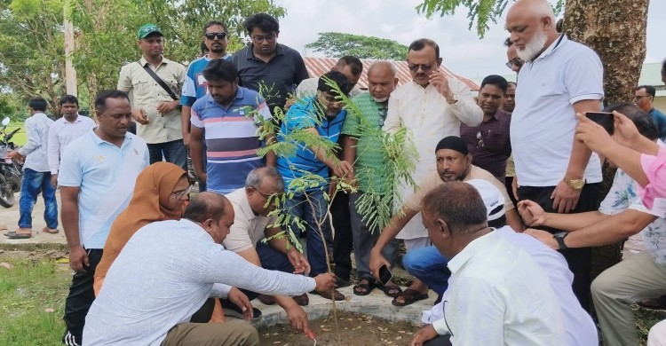 বারহাট্টায় মডেল গ্রাম উন্নয়ন প্রকল্পের বৃক্ষরোপণ কর্মসূচির উদ্বোধন