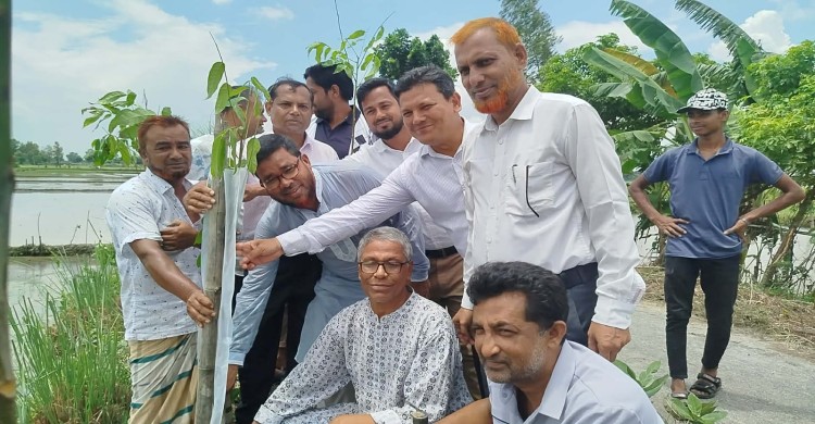 হরিপুরে পরিবেশ রক্ষায়  ১ হাজার ৮৪৪ গাছ রোপণ কর্মসূচির উদ্বোধন