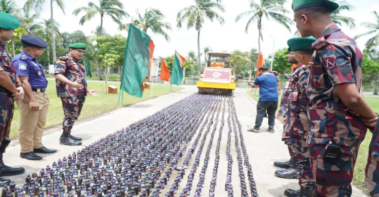 সাতক্ষীরায় ৩১ কোটি ৯৪ লাখ টাকার মা/দক ধ্বং/স করল বিজিবি