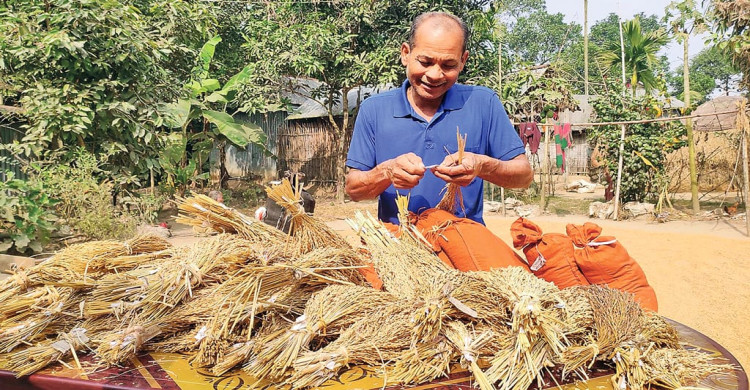 সাধারণ ঘরেই অসাধারণ গবেষণা, ২৫ জাতের ধান উদ্ভাবক সেন্টু হাজং
