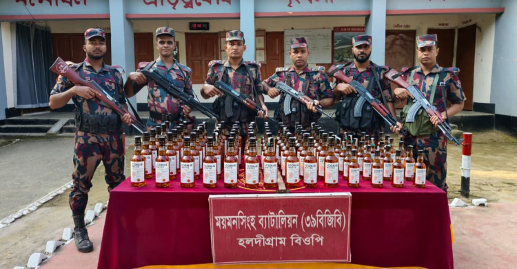 শেরপুর সীমান্তে বিজিবির অভিযান, আটক ৮৪ বোতল ভারতীয় মদ