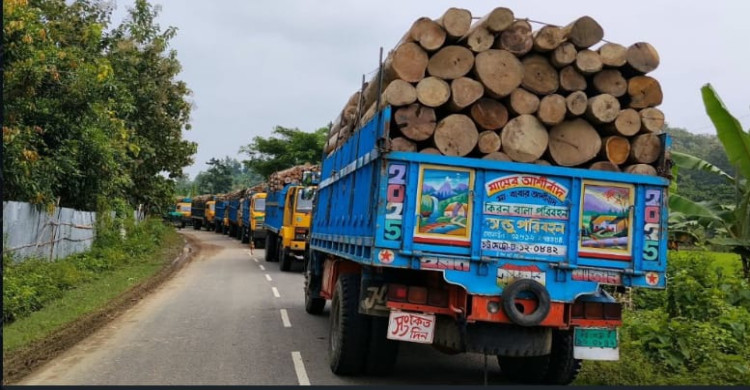 ট্রাকভর্তি কাঠ, তবু থেমে আছে চাকা— মহালছড়ি ২৪ মাইলে বিপাকে চালক-শ্রমিক