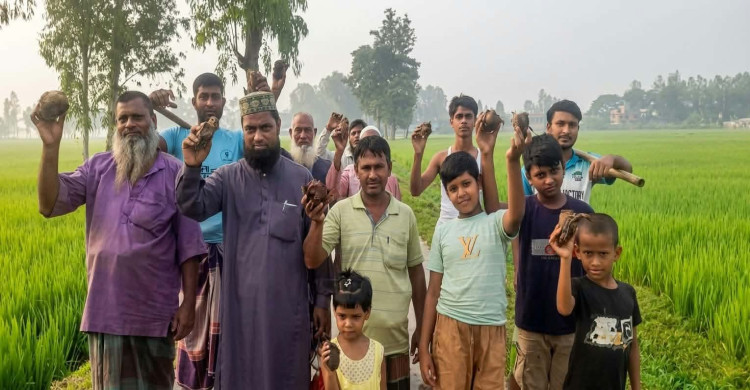 রাইট নাউ ফাউন্ডেশনের উদ্যোগে পরিবেশ রক্ষায় ২০০ তালবীজ রোপণ