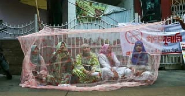 চট্টগ্রামে মশারি টাঙিয়ে তরুণীদের অভিনব প্রতিবাদ, লক্ষ্য চসিকের মশক নিধন কার্যক্রম