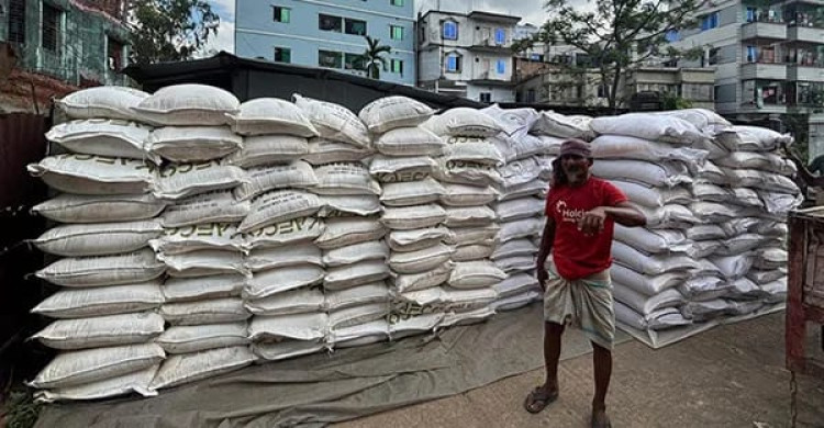 মীরসরাইয়ে মিয়ানমারে পাচারের সময় ৩০১ বস্তা ইউরিয়া সার উদ্ধার, গ্রেপ্তার ৮