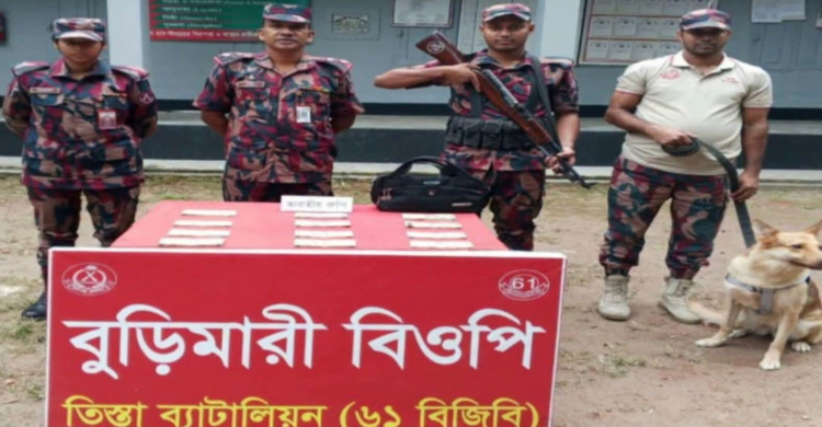 বিজিবির অভিযানে পরিত্যক্ত ব্যাগ থেকে ১ লাখ ভারতীয় রুপি উদ্ধার