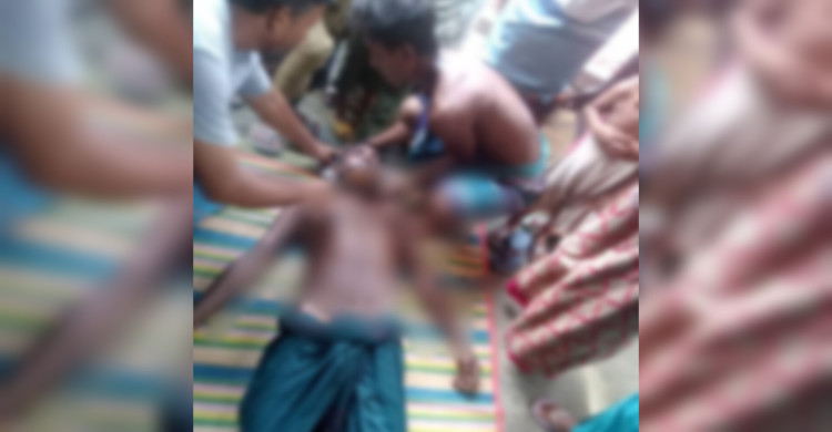 শৈলকুপায় ছোট ভাইয়ের লাঠির আঘাতে বড় ভাই নিহত