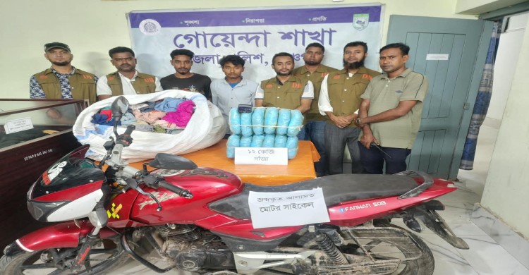 পঞ্চগড় ডিবির অভিযানে ১২ কেজি গাঁজাসহ দুই মাদক ব্যবসায়ী গ্রেফতার