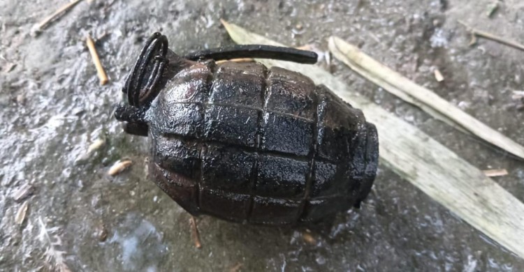 নীলফামারীতে পুকুরপাড় থেকে পরিত্যক্ত ‘তাজা’ ধাতব গ্রেনেড উদ্ধার