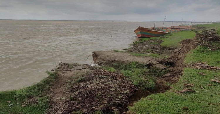 দৌলতপুরে পদ্মার ভাঙনে আতঙ্ক, চোখের সামনেই বিলীন হচ্ছে বসতভিটা