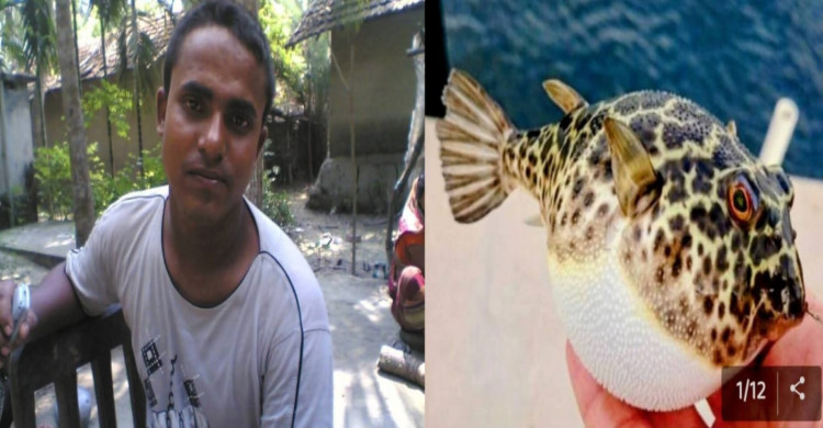 আশাশুনিতে টিপা মাছ খেয়ে মুদি ব্যবসায়ীর মৃত্যু, একই পরিবারের পাঁচজন অসুস্থ