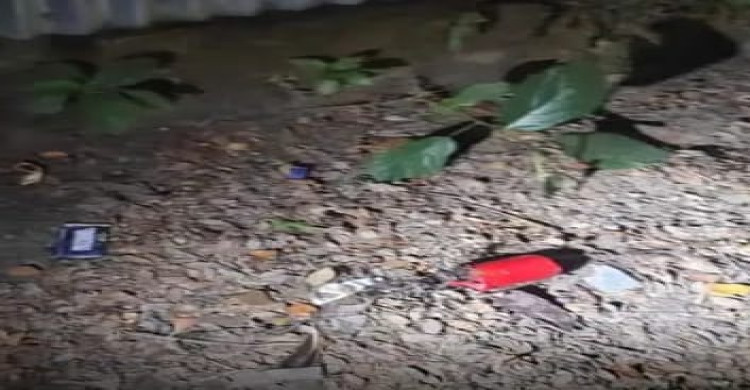 সুন্দরগঞ্জে ককটেল বিস্ফোরণ এলাকায় আতঙ্ক