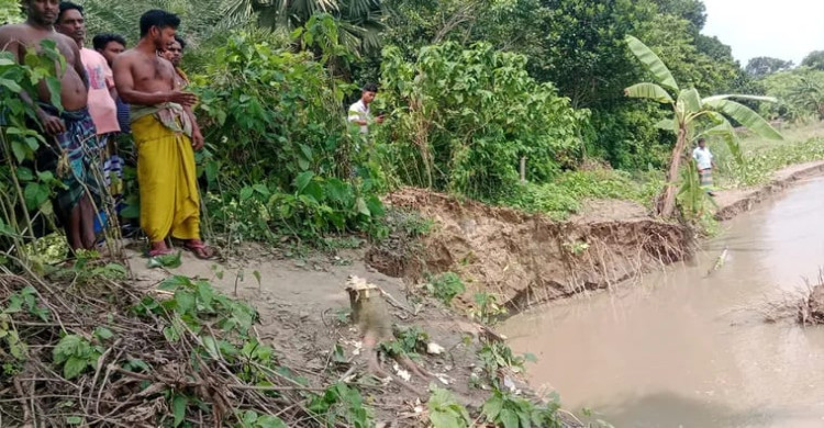 মাগুরায় গড়াই নদীর ভাঙনে বিলীন ১০ একর জমি, হুমকিতে ৫০০ পরিবার