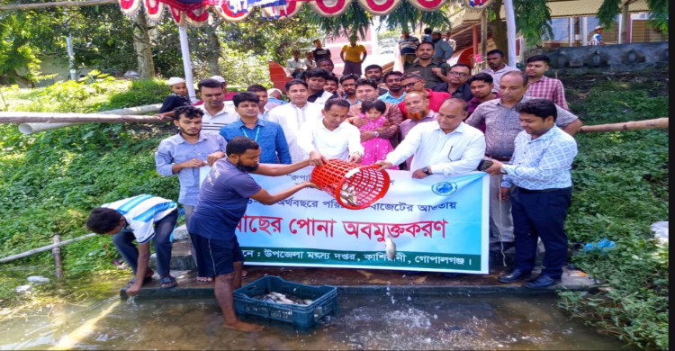 গোপালগঞ্জ কাশিয়ানিতে ১২টি জলাশয়ে ২৮৬ কেজি মাছের পোনা অবমুক্ত