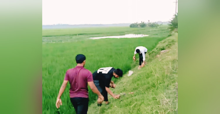 দেবীগঞ্জে বজ্রপাতের ঝুঁকি কমাতে এক হাজারের বেশি তালবীজ বপন