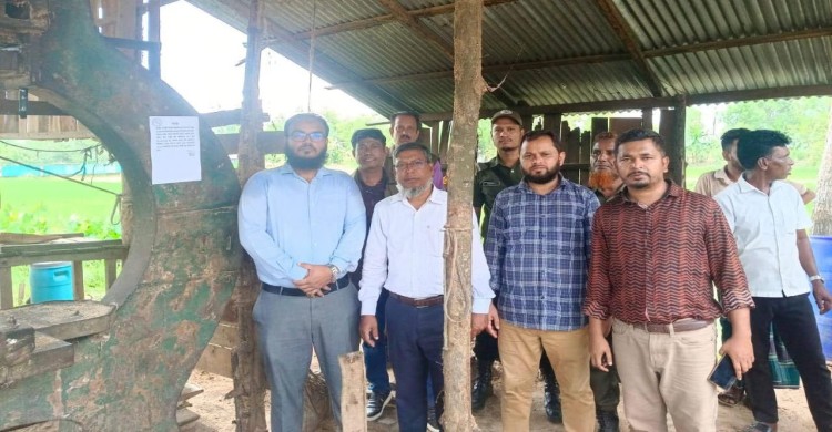 অবৈধ ৭ করাতকল বন্ধ, যন্ত্রাংশ ও কাঠ জব্দ: শানখলায় উপজেলা প্রশাসন ও বন বিভাগের যৌথ অভিযান