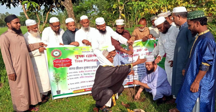 সিলেটে সুন্নী ওলামা মাশায়েখ পরিষদের বৃক্ষরোপণ ও চারা বিতরণ সম্পন্ন