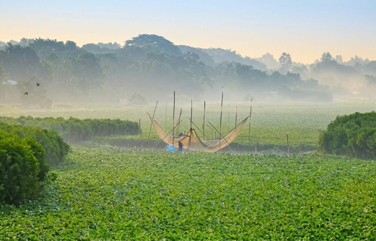 আশ্বিনেই জয়পুরহাটে শীতের আগমনী বার্তা